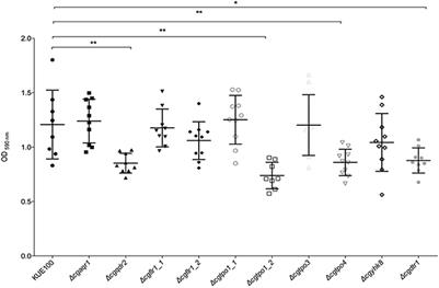 Screening the Drug:H+ Antiporter Family for a Role in Biofilm Formation in Candida glabrata